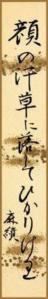 顔の汗草に落してひかりけり　佐藤麻績