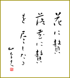 花に贅落花に贅を尽くしたる　後藤比奈夫