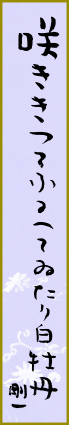 咲ききつてふるへてゐたり白牡丹 今瀬剛一