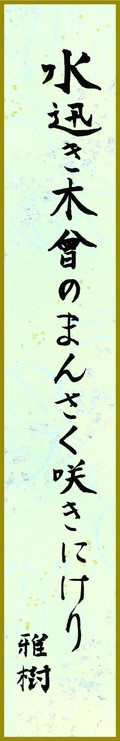 水迅き木曾のまんさく咲きにけり　中村雅樹