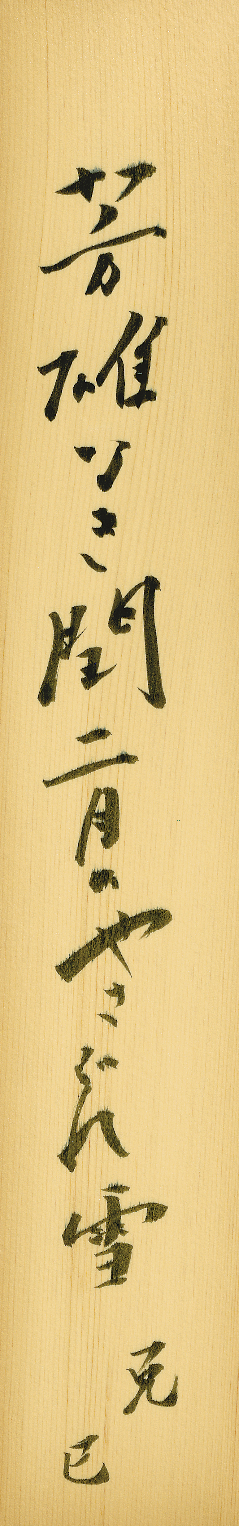 芳雄なき閏二月のやさぐれ雪 行方克巳